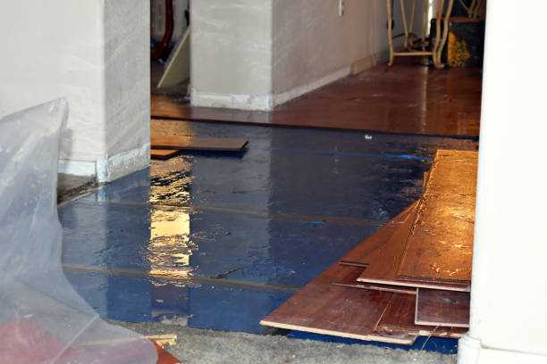 Professional Basement Water Removal technician working in Lyme, NH