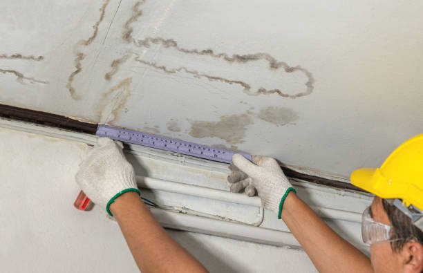 Reliable Basement Water Removal contractor in Lyme, NH by Water Damage Irwin